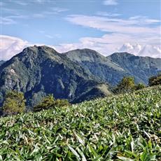 左から寒風山、笹ヶ峰、ちち山