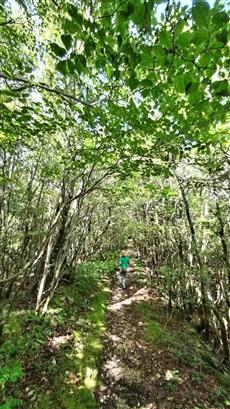 工石山への登山道