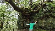 豊かな植生や奇岩の宝庫です