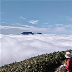 雲海に浮かぶ石鎚山