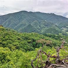 02　笠形山コース（大川山を見る）